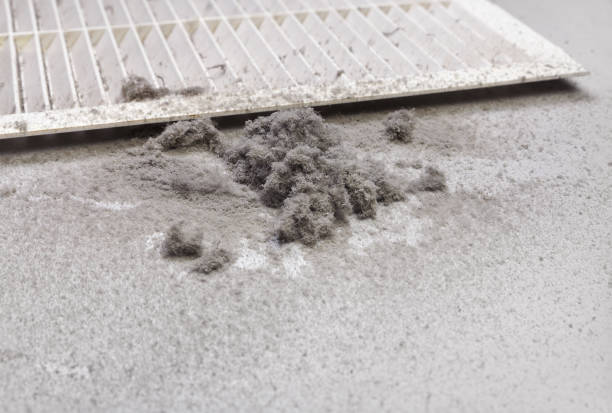 Best Ductwork Cleaning Services  in West Sharyland, TX